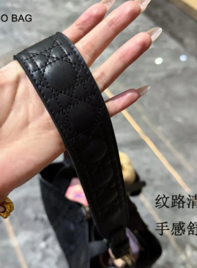适用DiorToujours土著托特包带