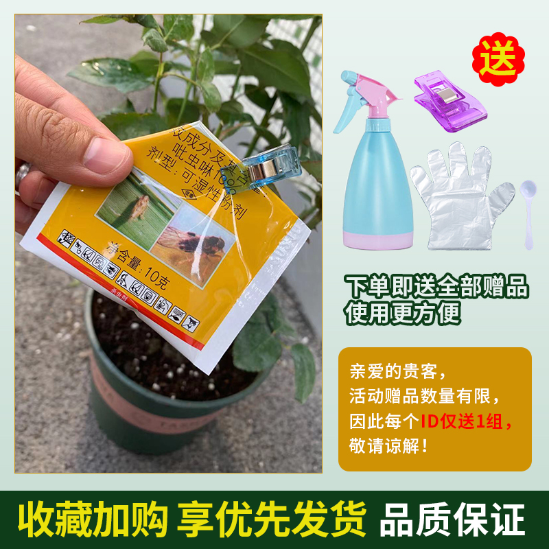 国光吡虫啉施奇小白药杀虫剂花药月季介壳虫蚜虫飞虱腻蜜虫送喷壶 - 图2