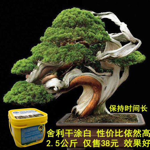 国光施奇树干涂白剂涂白粉舍利干涂白膏剂防冻防病虫直涂型免稀释 - 图0
