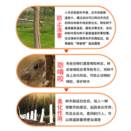 国光施奇树干涂白剂涂白粉舍利干涂白膏剂防冻防病虫直涂型免稀释 - 图2