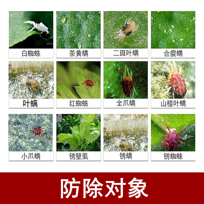 阿维菌素哒螨灵红蜘蛛专用复配药剂月季草莓柑橘螨虫锈壁虱杀虫剂 - 图0