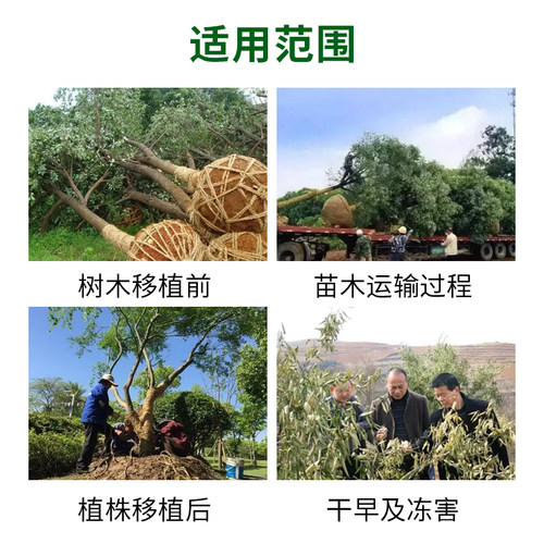 国光抑蒸（原抑制蒸腾剂）浓缩型蒸发剂 减少水分散失 提高成活率 - 图1