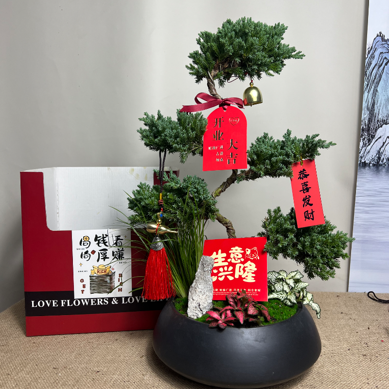 顺丰包邮五层塔松高档盆景新年礼祝寿送长辈送领导老师开业乔迁礼,淘宝优惠券,粉丝福利购,淘宝优惠卷