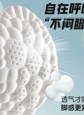 春季新款舒适透气软弹吸汗鞋垫