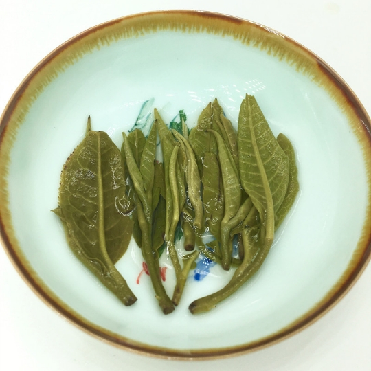 2024年新茶 茉莉花茶 茉莉花茶叶 玉螺王 散装500g袋装 浓香型