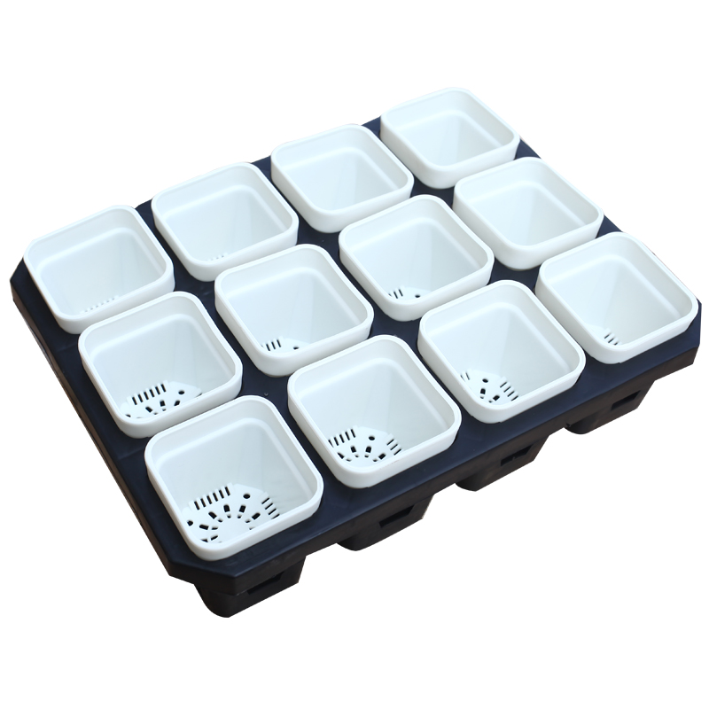 花满楼特厚加厚浅方盆小方黑白色多肉景天盆仙人球生石花番杏花盆,淘宝优惠券,粉丝福利购,淘宝优惠卷