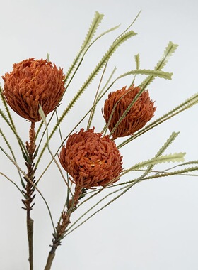 仿真花植绒佛塔帝王花针垫北欧公主班克木家居软装工程摄影摆件