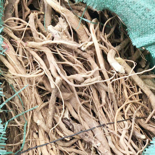 野生 倒吊黄根黄花倒水莲 黄花大远志观音串倒吊王 500g包邮 - 图2