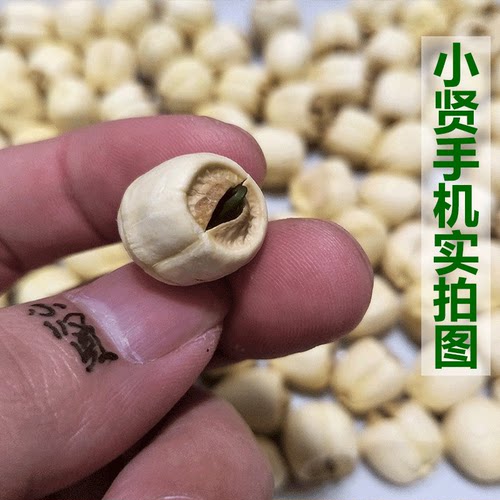 福建正宗建宁农家手工自产新鲜白莲子有带芯干货特产大颗450g包邮 - 图1