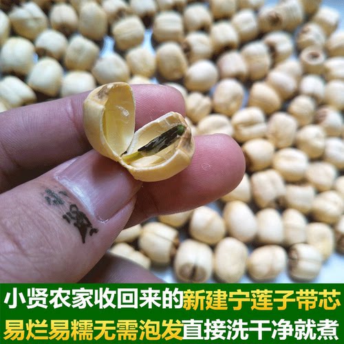 福建正宗建宁农家手工自产新鲜白莲子有带芯干货特产大颗450g包邮 - 图0