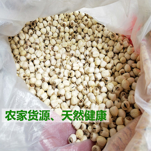 福建正宗建宁农家手工自产新鲜白莲子有带芯干货特产大颗450g包邮 - 图2