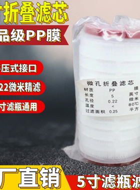 5寸折叠滤芯微孔精密PP膜芯滤芯