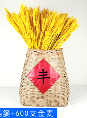 复古北欧风ins小清新麦穗干花