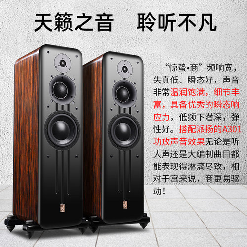 PAIYON/派扬惊蛰商P81八寸三分频大馒头高保真发烧hifi落地音箱 - 图2