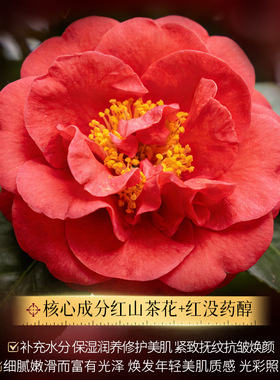 批法颜蔻红山茶花多肽重组胶原御龄护肤套盒七件套装【控价款】