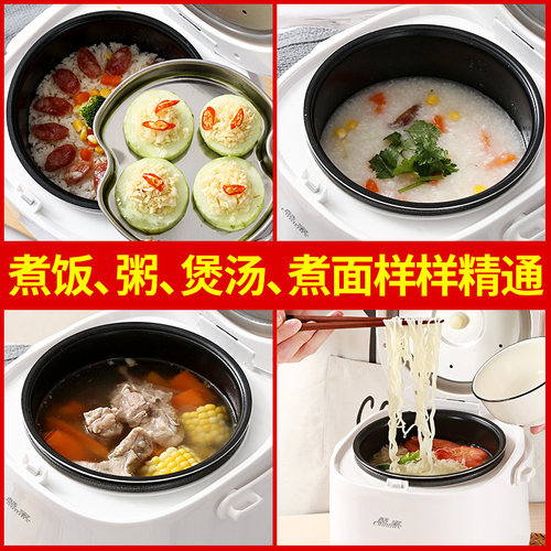 车家两用电饭煲12v24v通用车载电饭锅小车大货车用自驾游做饭神器 - 图1
