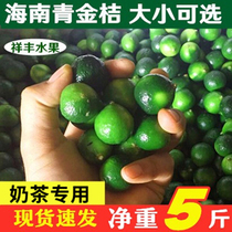 Zhengzong Hainan Qingjin tangerine fresh small green tangerine small golden tangerine small green citric acid orange 4 catty and send 5 1 catty of 5 catty