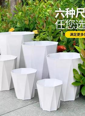 【钻石花盆】清仓捡漏大号多肉大口径养花专用特大号大口径塑料