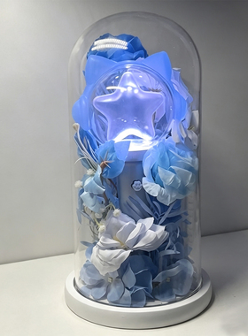 应援棒展示盒白鹿十周年防尘玻璃罩行星超级棒收纳盒小羊蹄保护罩