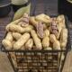 Star Pie Shelled Garlic Longyan Peanuts Farm New Nuts Roasted Seeds Casual New Year Snacks Boiled Wet Roasted Appetizers