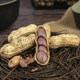 Star Pie Shelled Garlic Longyan Peanuts Farm New Nuts Roasted Seeds Casual New Year Snacks Boiled Wet Roasted Appetizers