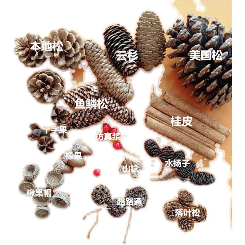 手工制作材料创意diy天然摆件松果松塔套装干花包果实装饰干树枝 - 图3