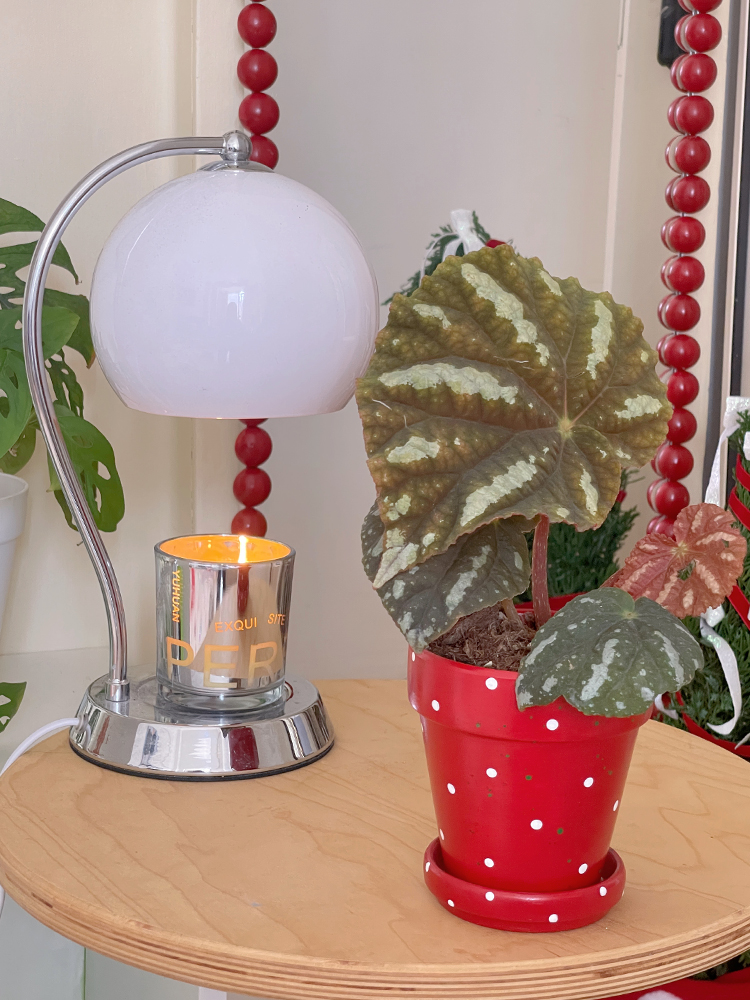 植物幻想苹果花器手绘红陶盆绿植多肉可爱透气有趣办公室新年礼物 - 图1