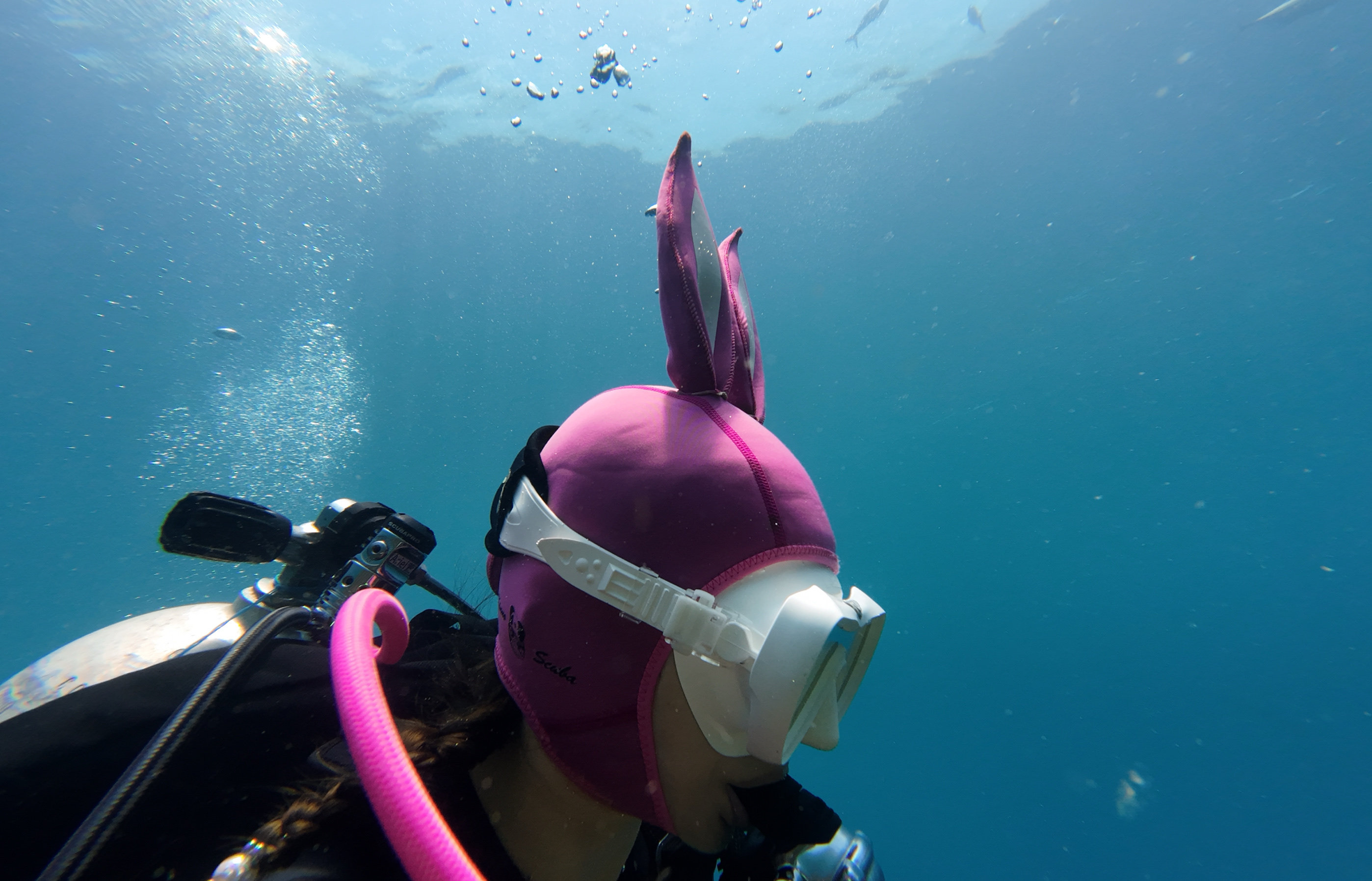 Kinno Scuba 原创正品可爱卡通潜水头套 桃红兔子 3MM舒适 - 图1