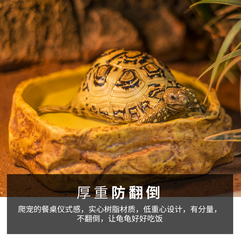 爬宠水盆蜥蜴蛇乌龟守宫角蛙睫角食盆陆龟寄居蟹泡澡盆树脂造景 - 图1