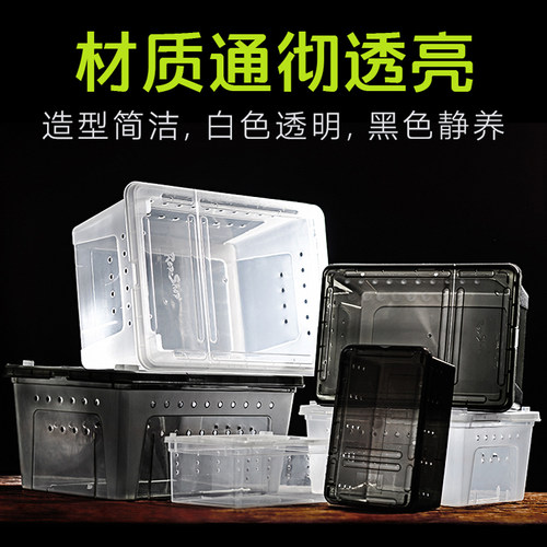 爬虫饲养盒爬宠箱蜘蛛角蛙守宫蜥蜴寄居蟹蜗牛蛇昆虫乌龟缸人渣盒 - 图0