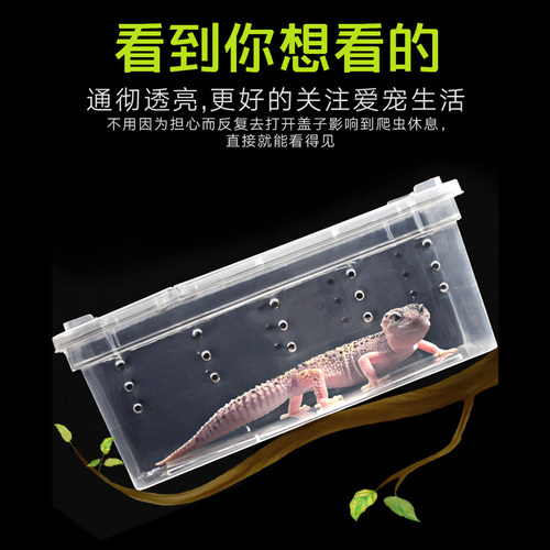 爬虫饲养盒爬宠箱蜘蛛角蛙守宫蜥蜴寄居蟹蜗牛蛇昆虫乌龟缸人渣盒 - 图1