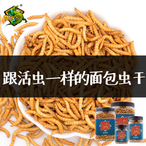 Rep-Shop冻干面包虫干乌龟龙鱼饲料蜥蜴守宫角蛙宠物零食黄粉虫干 - 图0
