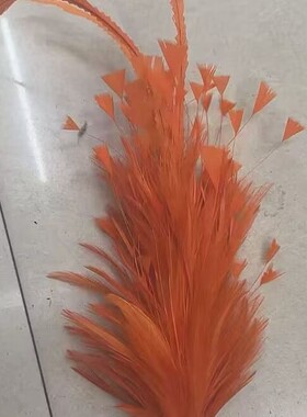 拉丁舞台羽毛头饰30cm