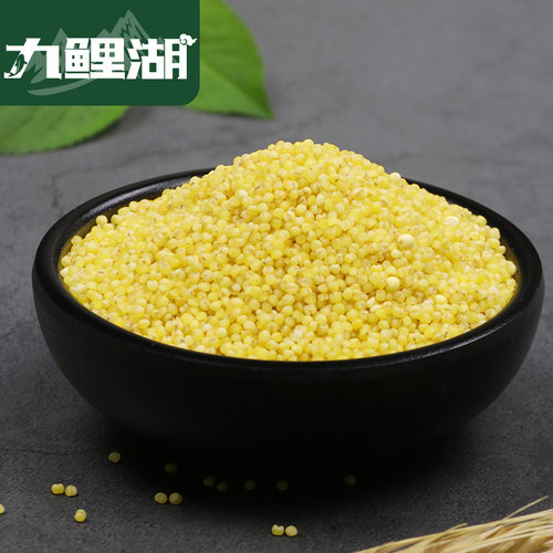 九鲤湖 黄小米 2000g 山西小米五谷杂粮小米粥粟米粮油煲粥小米粥 - 图2
