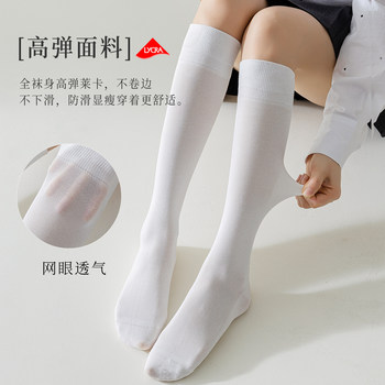 tb socks spring and summer thin micro-pressure stovepipe socks mesh striped stockings women's white gray jk calf socks