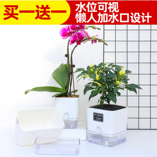 简约透明自动吸水免浇水懒人花盆方形磁吸塑料绿萝花卉水培花盆 - 图0