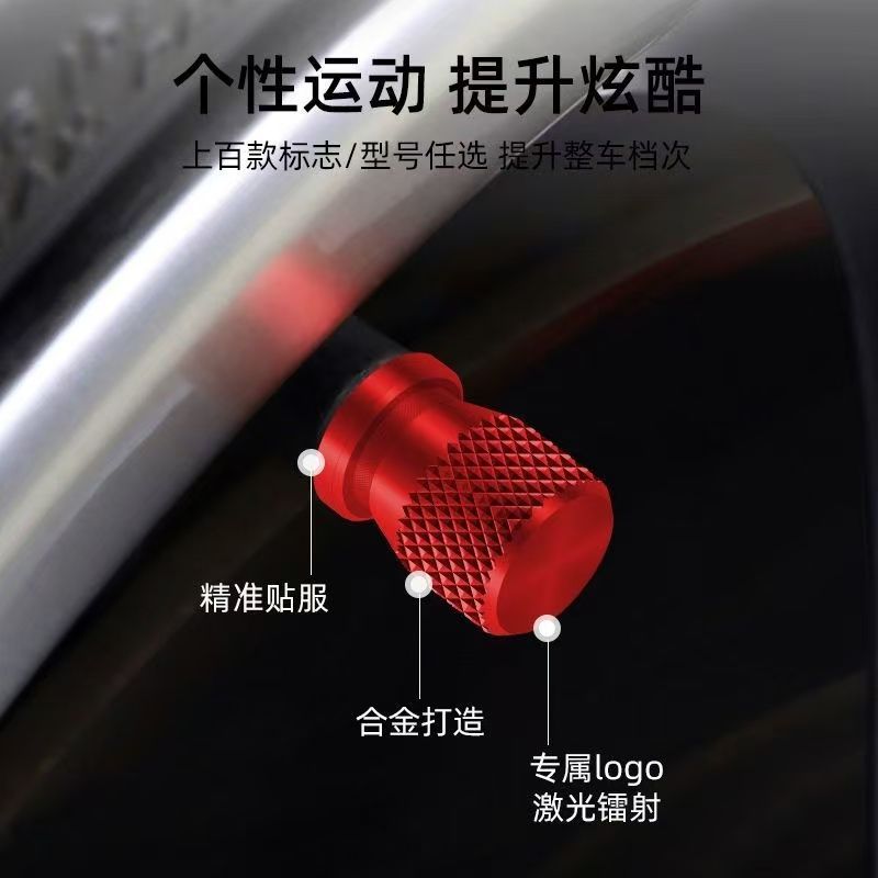 适用于铃木极客飒155摩托车轮胎气门嘴帽创意金属气嘴帽配饰盖帽 - 图2