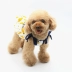 Aipet Pet Quần áo Tôi là BANANA Banana In VIP Teddy Puppy Dress Váy - Quần áo & phụ kiện thú cưng áo cho chó giá rẻ Quần áo & phụ kiện thú cưng