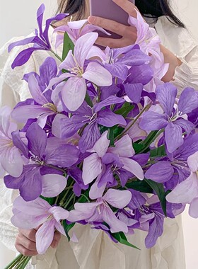 嘉兰火焰百合紫荆花紫色仿真花