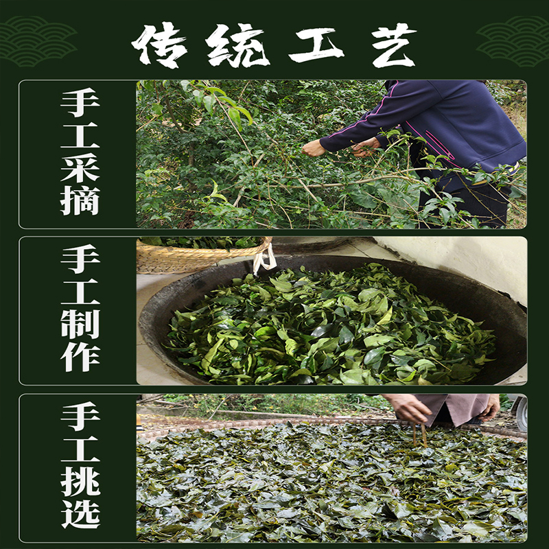 贵州特产毛冬青茶野生苦丁茶特级小叶苦丁发酵袋装新茶正品凉茶叶