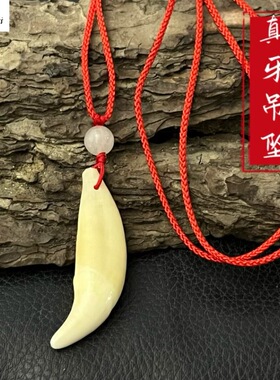 2026新品包邮真品黑狗牙吊坠挂件民族风饰品男女款儿童项链
