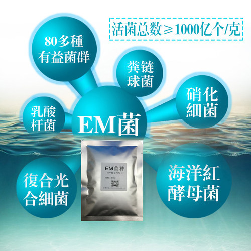 em50克菌种 农业种植专用菌种 加速土壤有机质 分解减轻连作障碍 - 图0