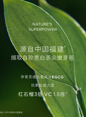 【达人专享！0元付定！】雅顿白茶新肌精萃液 滋养保湿舒缓肌肤