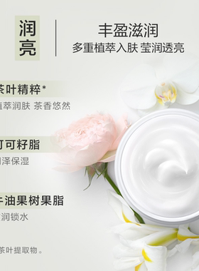 【李佳琦双11超级美妆节付定金】雅顿白茶身体霜保湿植萃