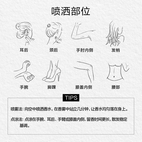 雅顿白茶香水香氛系列 女士香水花香留香香氛 - 图3