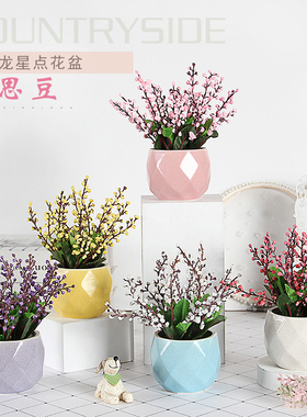 马卡龙彩色摆放花卉丝网花