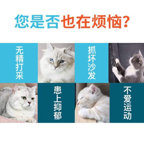 猫玩具逗猫棒长杆猫咪玩具逗猫小猫幼猫自嗨解闷神器宠物用品大全 - 图0