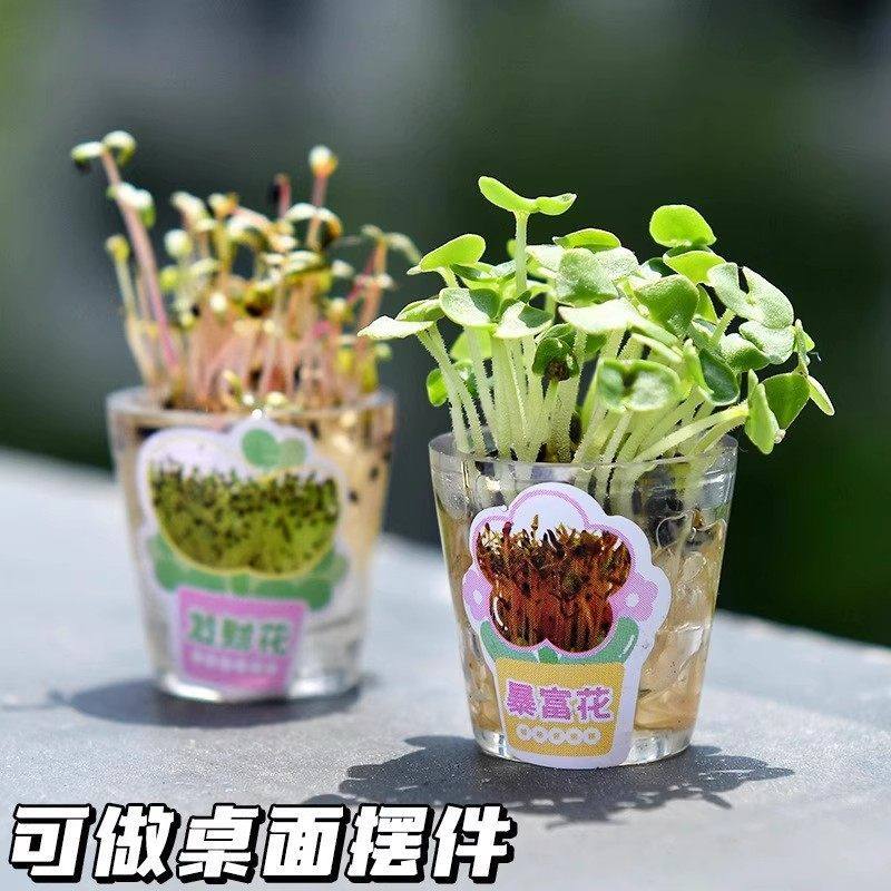 小网红同款植物种草笔创意DIY新品中性笔小盆栽长草笔个性情侣笔,淘宝优惠券,粉丝福利购,淘宝优惠卷
