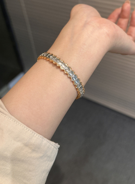 蕾迪流金岁月1克拉双色手镯