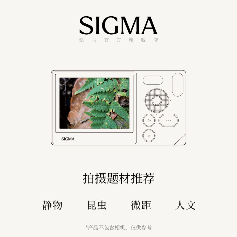 图 3